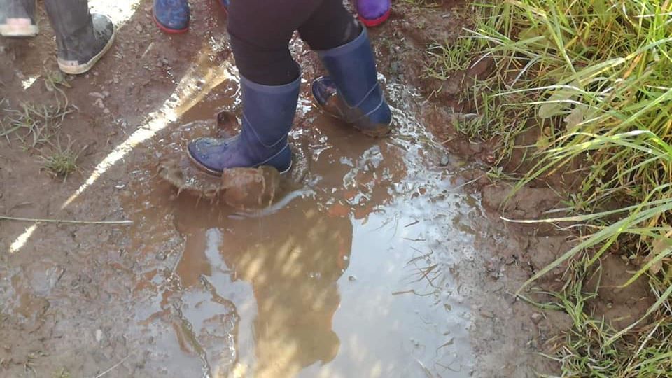 L'eau.... quel élément magique!