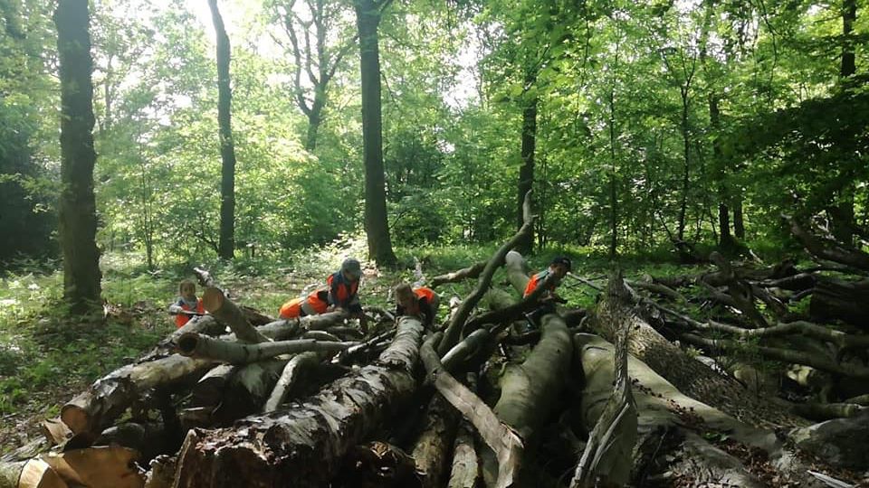 Psychomotricité dans les bois.