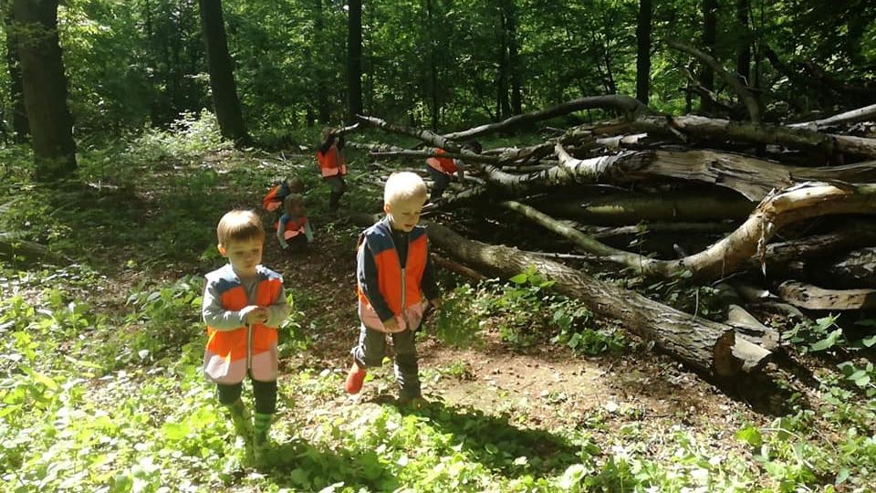 La forêt ouvre les portes du langage et des interactions.