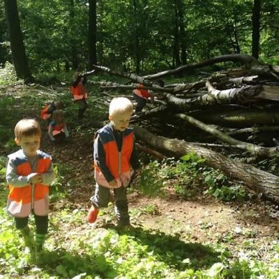 La forêt ouvre les portes du langage et des interactions.